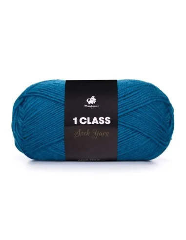 Mayflower 1 class fv. 23, Blå asters